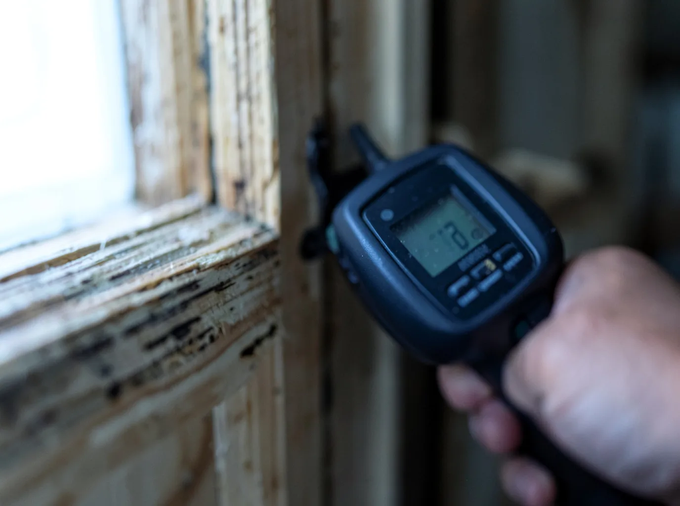 Commercial Water Damage Restoration in Greer, AZ